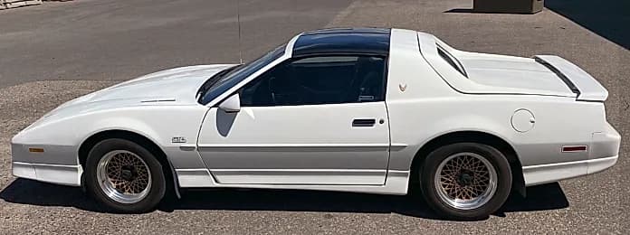 Today’s feature is a little-known option available on 1988 and 1989 Pontiac Firebird models — a notchback rear hatch assembly.